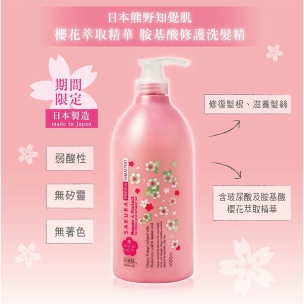 熊野櫻花萃取胺基酸修護洗髮精-2