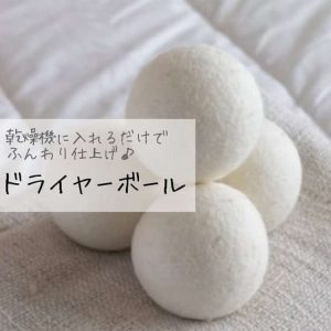 日本【ECHO】烘乾羊毛球-3
